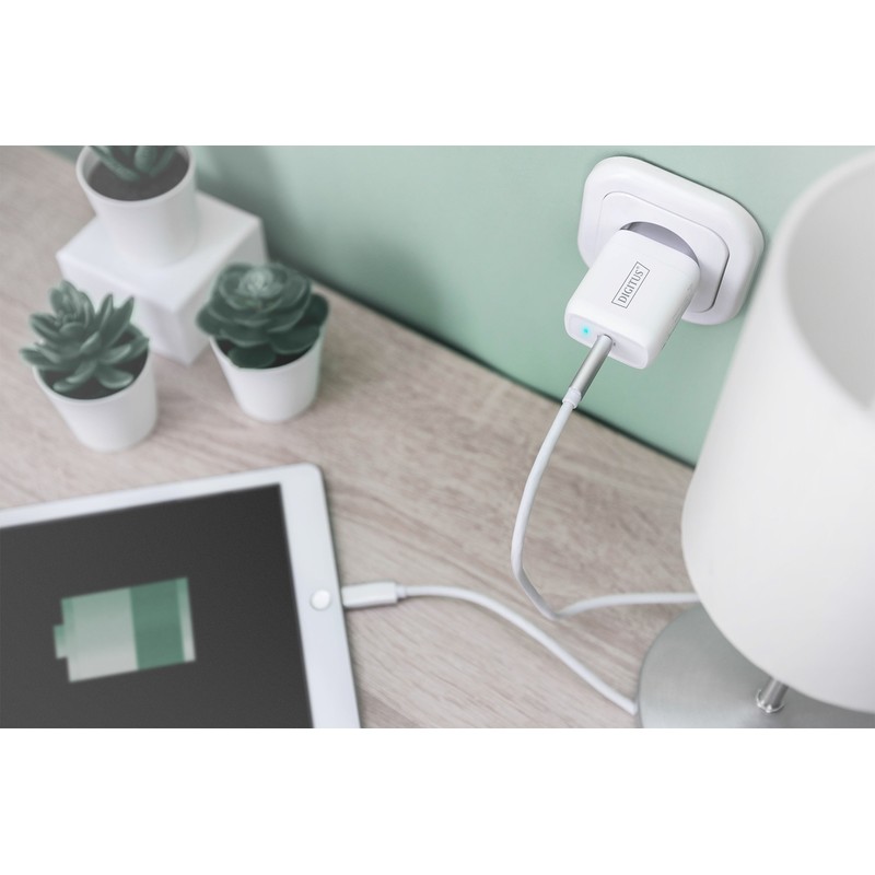 Digitus Зарядний пристрій Universal USB-C