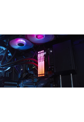Kingston Пам'ять до ПК DDR5 5600 8GB Beast Black RGB