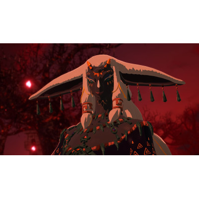 Games Software Гра консольна Switch 2 HYRULE WARRIORS AGE OF IMPRISONMENT, картридж