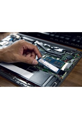 Kingston Накопичувач SSD M.2 1TB PCIe 4.0 NV3