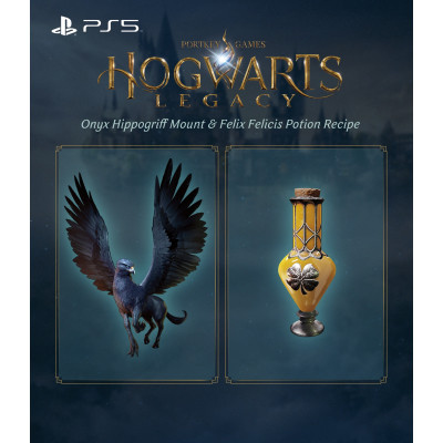 Games Software Hogwarts Legacy [Blu-ray диск] (PS5)