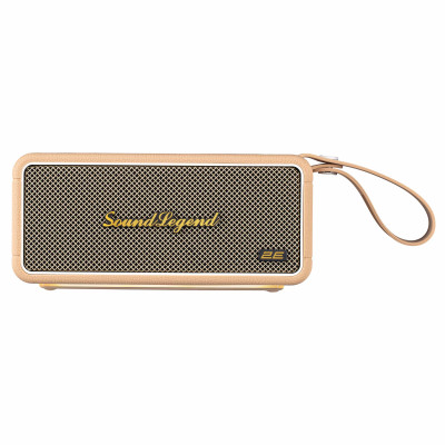 2E Портативна акустична система SoundLegend 80Вт, BT 5.3, TWS, FLAC, MP3, WAV, EQ, PowerBank, IPX6, RGB, Коричневий