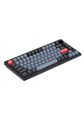 Keychron Клавіатура механічна V1 84Key, Gateron G PRO Brown, USB-A, Hot-Swap, QMK, Knob, EN/UKR, RGB, Frosted Black