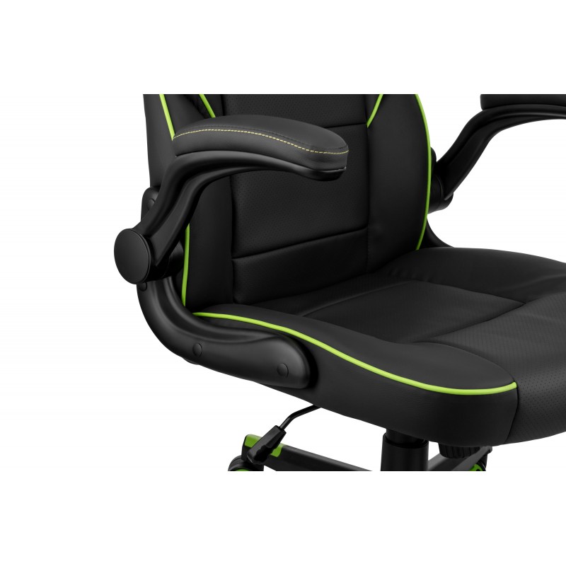 2E Gaming Ігрове крісло HEBI Black/Green