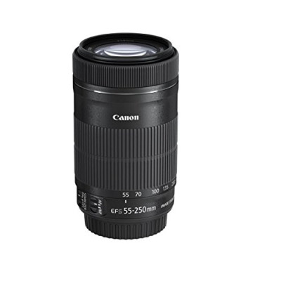 Canon EF-S 55-250mm f/4-5.6 IS STM