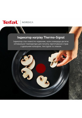 Tefal Сковорода Nordica, 20см, нержавіюча сталь