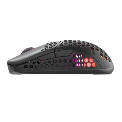 Cherry Xtrfy Миша M42, WL/USB-A, RGB, чорний