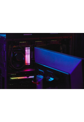 Kingston Пам'ять до ПК DDR5 5600 8GB Beast Black RGB