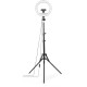 HAMA Штатив зі світлодіодним кольцем SpotLight Steady 120 V2 BT Black