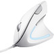 Trust Миша Verto Ergonomic, USB-A, Білий