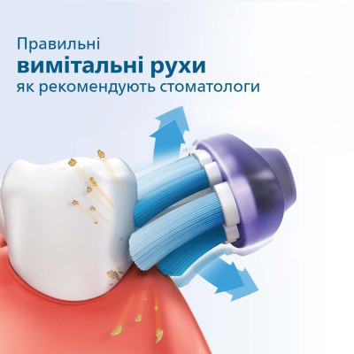 Philips Щітка зубна електр., Sonicare 2100 Series, 31т. колив/хв, насадок-1, білий