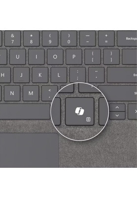 Microsoft Surface Клавіатура для планшета Surface Pro 8 - 11, Pro X зі стілусом, платинова