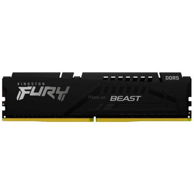 Kingston Пам'ять ПК Kingston DDR5 16GB 6000 FURY Beast EXPO