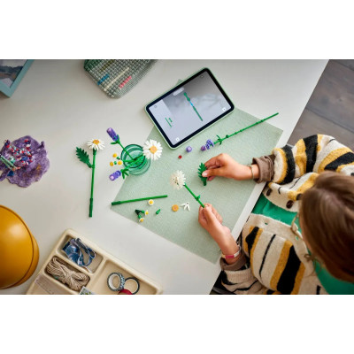LEGO Конструктор LEGO Botanicals Ромашки