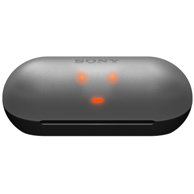 Sony Навушники WF-C500 True Wireless IPX4 Чорний