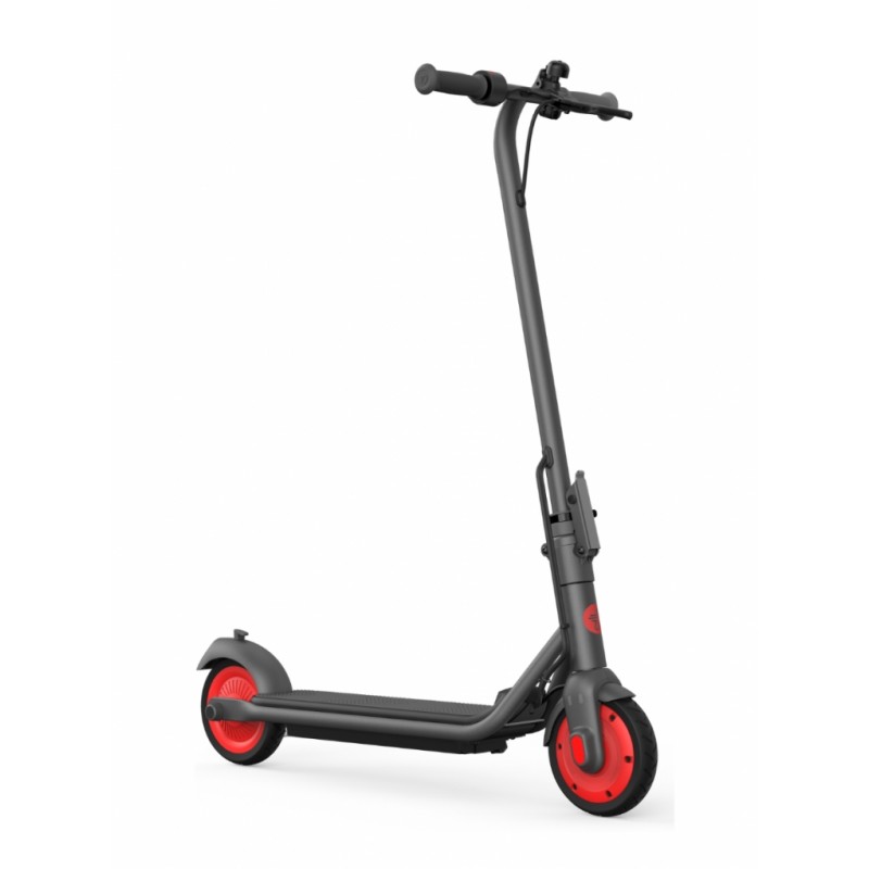 Segway Електросамокат Ninebot by Segway C20