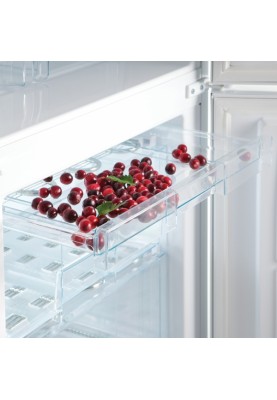 SNAIGE Холодильник з нижньою морозильною камерою RF56NG-P5JJNF