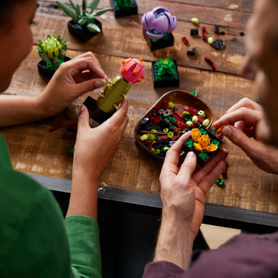 LEGO Конструктор LEGO Botanicals Сукуленті LEGO Конструктор LEGO Botanicals Сукуленті