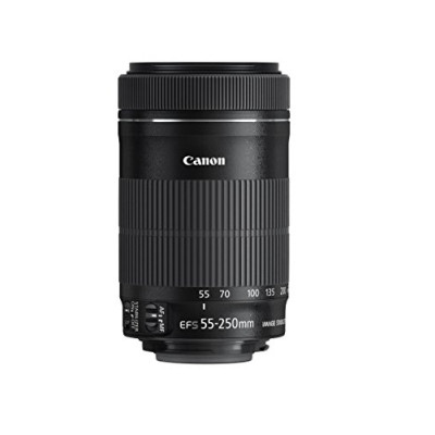 Canon EF-S 55-250mm f/4-5.6 IS STM