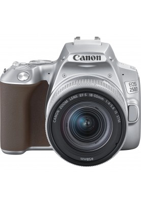 Canon Цифрова фотокамера дзеркальна EOS 250D kit 18-55 IS STM Silver