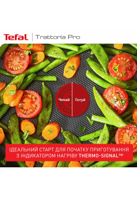 Tefal Сковорода Trattoria Pro, 24см, алюміній, бакеліт, чорний