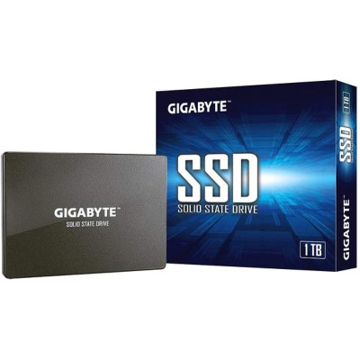 Gigabyte 2.5"[GP-GSTFS31100TNTD]