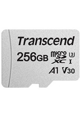 Transcend Карта пам'яті microSD 256GB C10 UHS-I R100/W40MB/s + SD