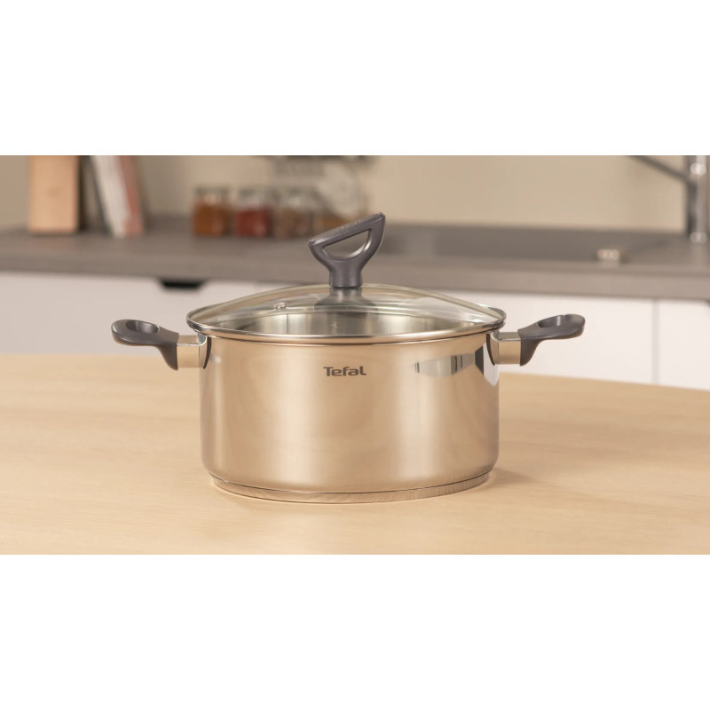 Tefal Каструля Daily Cook з кришкою, 24см, нержавіюча сталь, алюміній, бакеліт