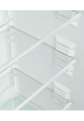 SNAIGE Холодильник з нижн. мороз., 194.5x60х65, холод.відд.-233л, мороз.відд.-88л, 2дв., A++, ST, чорний