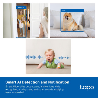 TP-Link IP-камера Tapo C125 4MP N300 microSD motion detection, штучний інтелект