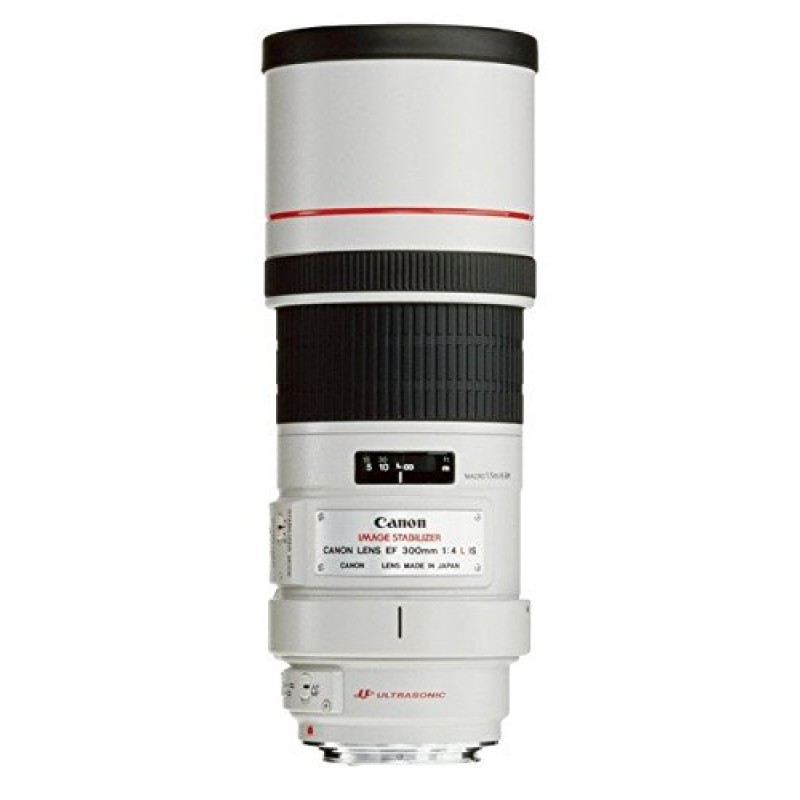 Canon EF 300mm f/4.0L IS USM