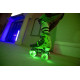 NEON Ролики COMBO SKATES Салатовий (Размер 30-33)