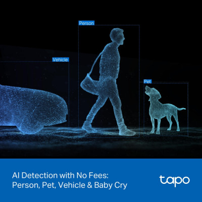 TP-Link Камера IP з подвійним об'єктивом Tapo C246D 3MP N300 microSD motion detection