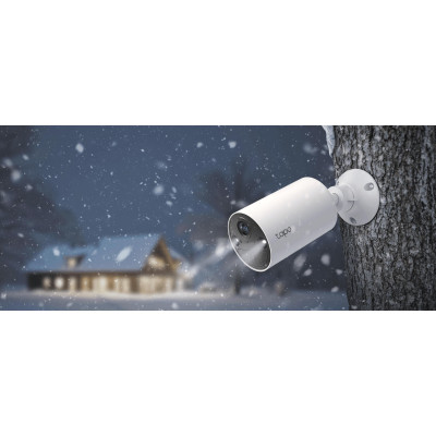 TP-Link IP-камера Tapo C410 3MP N300 microSD motion detection, зовнішня/внутрішня