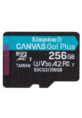 Kingston Карта пам'яті microSD 256GB C10 UHS-I U3 A2 R170/W90MB/s