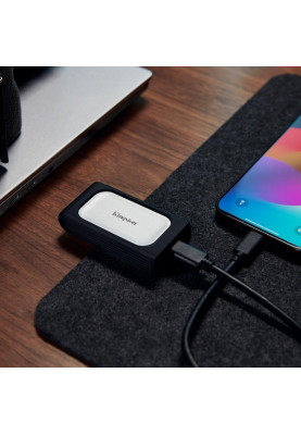 Kingston Портативний SSD Kingston 500GB USB 3.2 Gen 2x2 Type-C XS2000