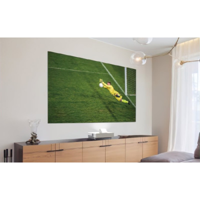 Epson Екран фіксований ELPSC36 16:9, 120", 2.66x1.5 м, ALR