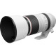 Canon RF 100-500mm f/4.5-7.1 L IS USM