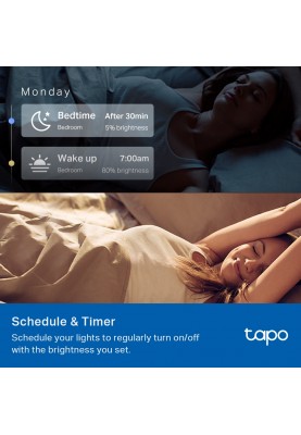 TP-Link Розумна багатобарвна Wi-Fi лампа Tapo L530E 2шт N300
