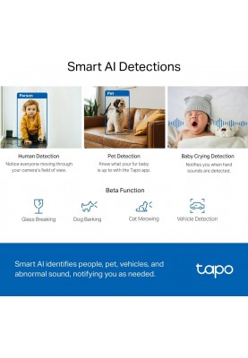 TP-Link IP-Камера Tapo C220 4MP N300 microSD motion detection