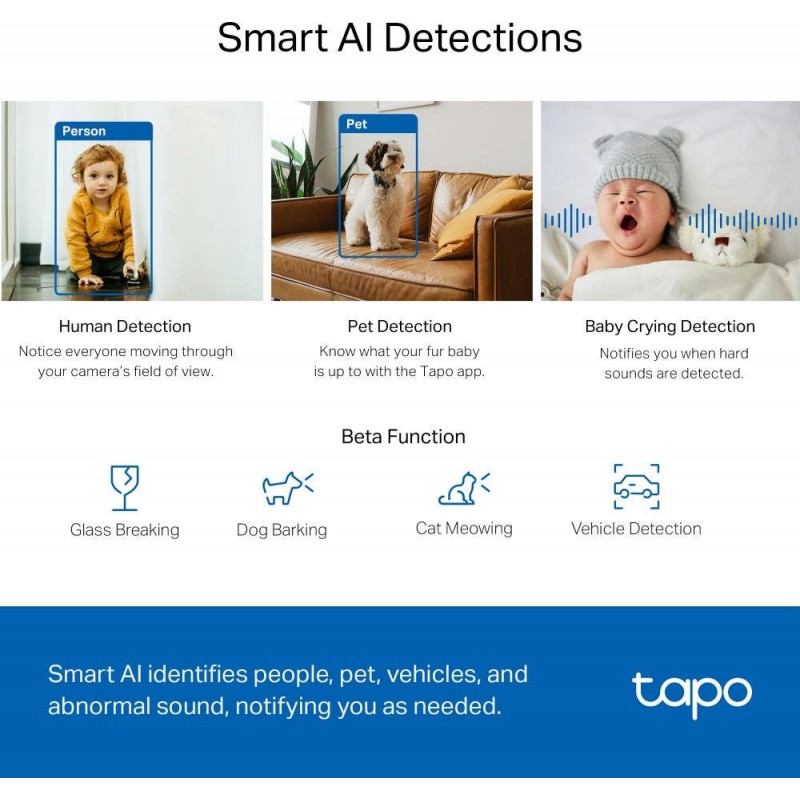 TP-Link IP-Камера Tapo C220 4MP N300 microSD motion detection