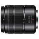 Panasonic Micro 4/3 Lens 45-150mm