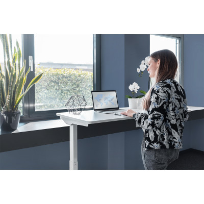 Digitus Стіл Electric Height Adjustable, 73-123cm, white