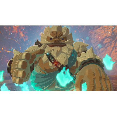 Games Software The Legend of Zelda: Breath of the Wild (Switch)