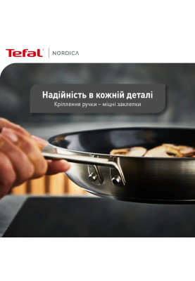 Tefal Сковорода Nordica, 20см, нержавіюча сталь