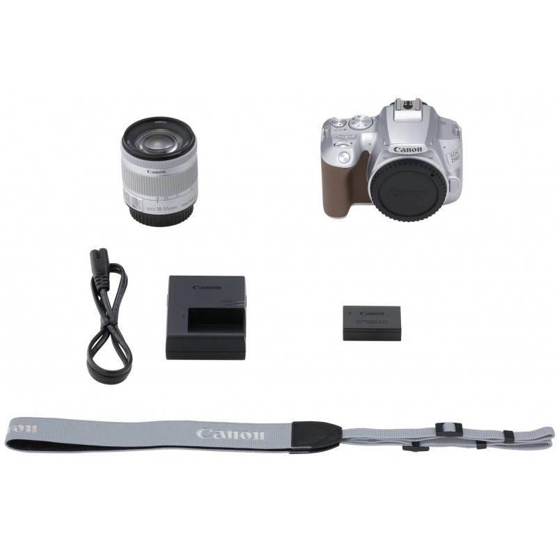 Canon Цифрова фотокамера дзеркальна EOS 250D kit 18-55 IS STM Silver