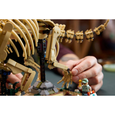 LEGO Конструктор LEGO Jurassic World Скамянілості динозаврів: трицератопс LEGO Конструктор LEGO Jurassic World Скамянілості динозаврів: трицератопс