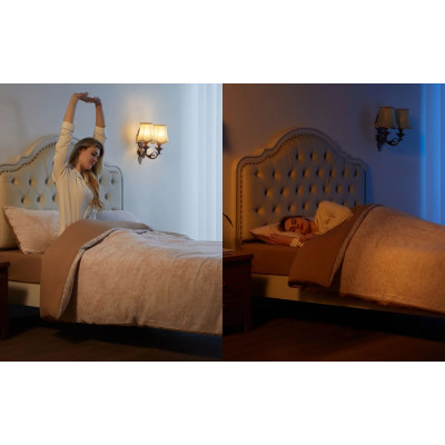 Govee Лампа розумна H600C, E14, 5W, 450Lm, 2700K-6400K, RGBWW, WI-FI/Bluetooth, білий