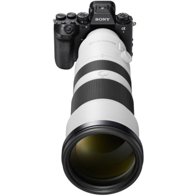 Sony Об'єктив 400-800mm, f/6.3-8.0 G для NEX FF Sony Об'єктив 400-800mm, f/6.3-8.0 G для NEX FF
