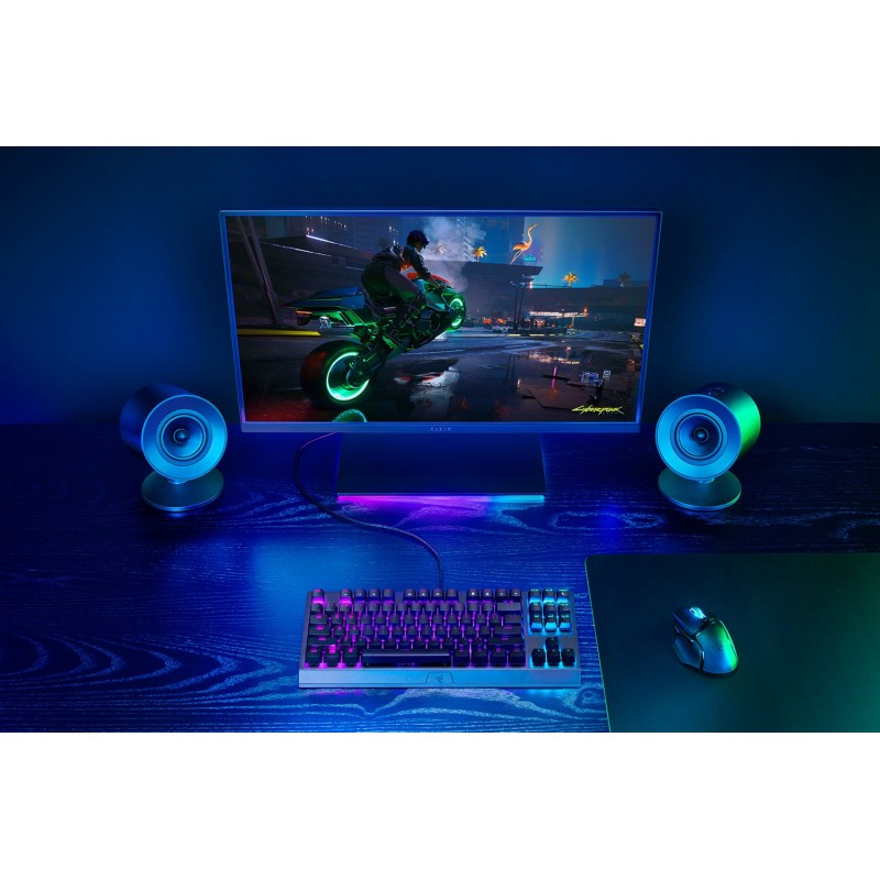 Razer Акустична система Razer V2 X USB-A, чорний